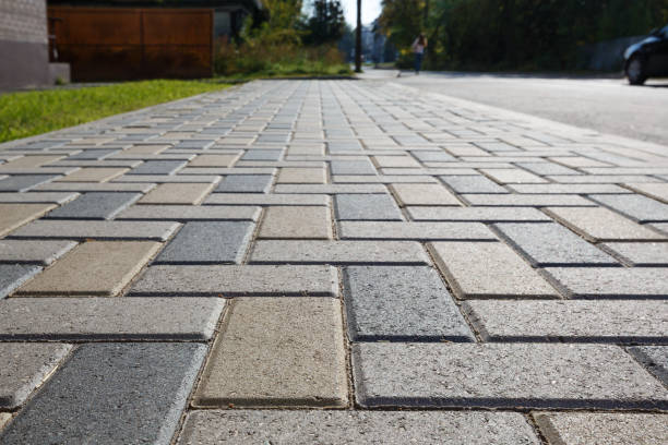 Best Residential Paver Driveway  in La Presa, CA