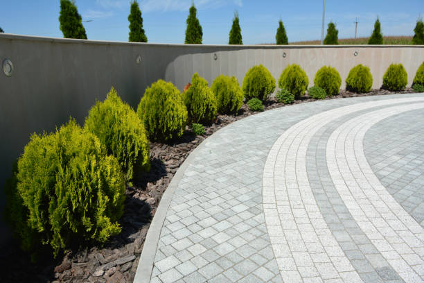 Best Decorative Driveway Pavers  in La Presa, CA